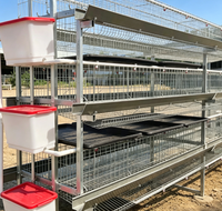 Cage à poules pondeuses galvanisée de type H à 4 niveaux, 4 portes, en treillis métallique durable
