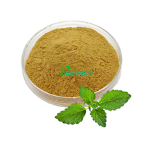 Ingrédient naturel 10:1 20:1 Poudre d'extrait de mélisse pure Extrait de Melissa officinalis en poudre
