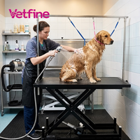 Nouvelle arrivée : table de toilettage vétérinaire électrique à LED, table de beauté pour animaux de compagnie à prix réduit