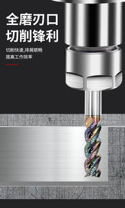 Fraises <span class=keywords><strong>à</strong></span> trois cannelures OEM, fraises <span class=keywords><strong>à</strong></span> bout en carbure revêtues de DLC pour la fabrication de moules - Product Image 6