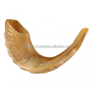 Corne de béliers naturels Shofar Offre passionnante Rosh Hashanah Corne de koudou yéménite - Product Image 2