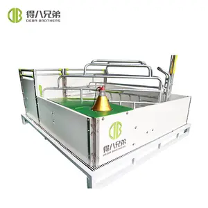 Hot Sale Economical Pig Farrowing Crates Pig Breeding Equipment