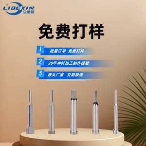 Broches de poinçonnage en acier inoxydable et acier au tungstène, sur mesure pour accessoires de moules de presse à poinçonner - Product Image 4