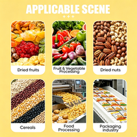 Convoyeur à bande inclinée en acier inoxydable pour la transformation alimentaire, machine de lavage et de transfert de légumes et de fruits