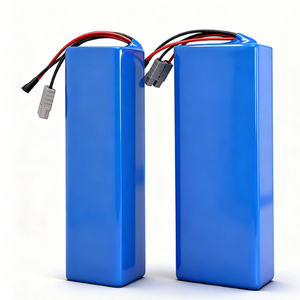 Batterie au phosphate de fer et de lithium LiFePO4 60V 20Ah pour chariot élévateur électrique - Product Image 1