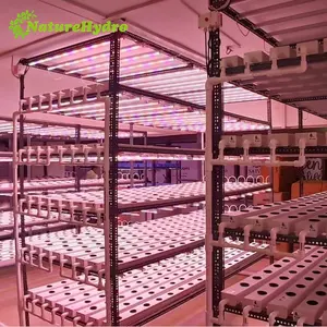 แนวตั้ง NFT ไฮโดรโปนิกส์ท่อพีวีซี Hydroponic ระบบการเจริญเติบโต