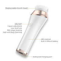 Machine à laver le visage électrique Portable, en Silicone, gommage des pores, brosse rotative de nettoyage du visage