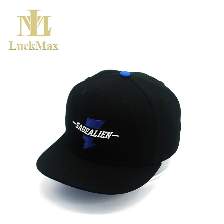 Adjustable Custom Embroidered Logo Blank Black Baseball Hip Hop Hats Customize Snapback Cap