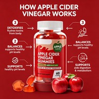 Gummies au vinaigre de cidre de pomme avec acide folique, vitamine B6, poudre de betterave et de grenade pour la digestion, la détoxification et le métabolisme, végétaliennes, OEM