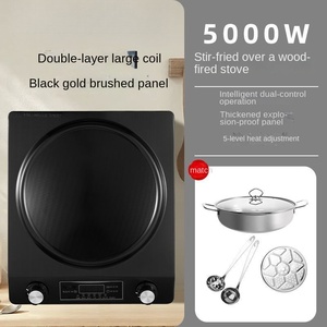 Table de cuisson à induction double brûleur CE CB de haute qualité 500W portable avec surface en fonte 24 cm, classe d'efficacité énergétique, pour usage hôtelier - Product Image 2