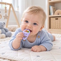 Set Teether Bayi Bentuk Makanan Sushi Pizza Burger Dinosaurus Mainan Gigitan Bayi Non-Toksik 0-12 Bulan Custom