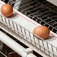 Nouveau système de cages en acier galvanisé à chaud pour poules pondeuses, cage en H pour 128 poulets, équipement agricole automatique Agricon