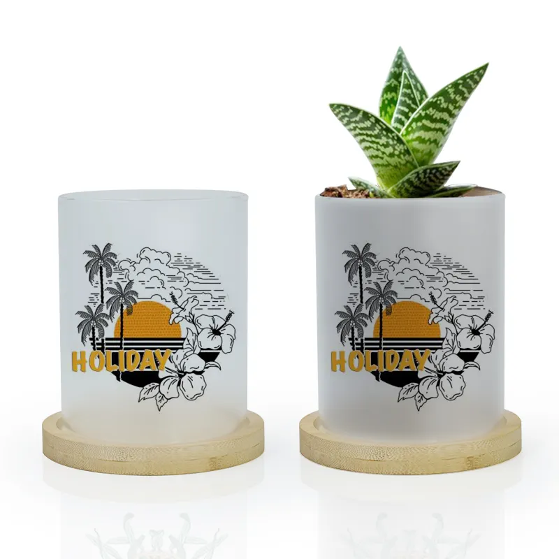 Nova chegada sublimação em branco vidro vasos de flores Home decor plant pot para impressão DIY