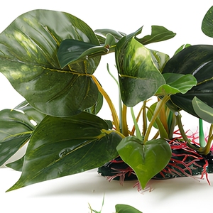 <span class=keywords><strong>Aquarium</strong></span> decoratief gras reptielenbak milieuvriendelijk plastic kunstmatige waterplanten grote bladeren visbak aquascaping decoratie - Product Image 5