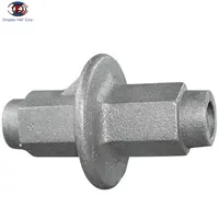 Buying The Casted Water Stopper Nut of Fromwork Accessories in Top Quality  and Safety with Cheap Price from China Certified Supplier-RSF  Factory