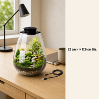 Terrarium de bureau en verre avec lumière de croissance pour plantes, petit aquarium, plantes succulentes, mousse, mini-jardinage, paysage miniature