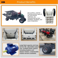 Concasseur à mâchoires populaire Ding Guan PE250*400 avec roulement moteur, capacité max. 20 t/h, taille d'alimentation 200-350 mm, facile à utiliser pour la réduction de minerai