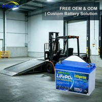 Batteria di Trazione LiFePO4 ad Alta Potenza 24V 100AH, Cella LiFePO4 per Carrelli Elevatori Laterali, Certificata CE FCC RoHS UN38.3, OEM ODM