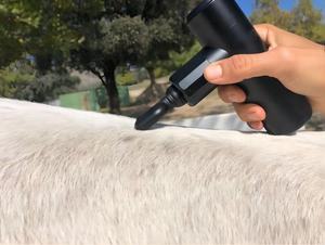 Percussão profissional baixo som massagem muscular arma para cavalos - Product Image 6