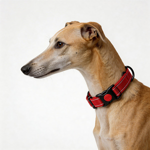 <span class=keywords><strong>Collar</strong></span> de Adiestramiento para Perros Greyhound de Doble Bucle Antiescape con Cierre de Seguridad, Sin Estrangulamiento - Product Image 2