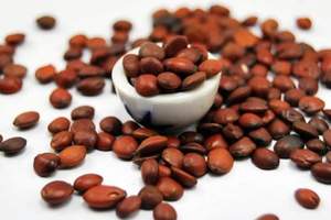 Ziziphus Jujube <span class=keywords><strong>Seed</strong></span> Colonne Vertébrale <span class=keywords><strong>Date</strong></span> Extrait Poudre Jujubosides a B 2% 5% Extrait de Jujube Sauvage - Product Image 3