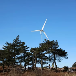 Générateur éolien à aimant permanent <span class=keywords><strong>de</strong></span> haute qualité 2500W, sortie triphasée AC 48V/96V/120V, hybride éolien-solaire gratuit - Product Image 4