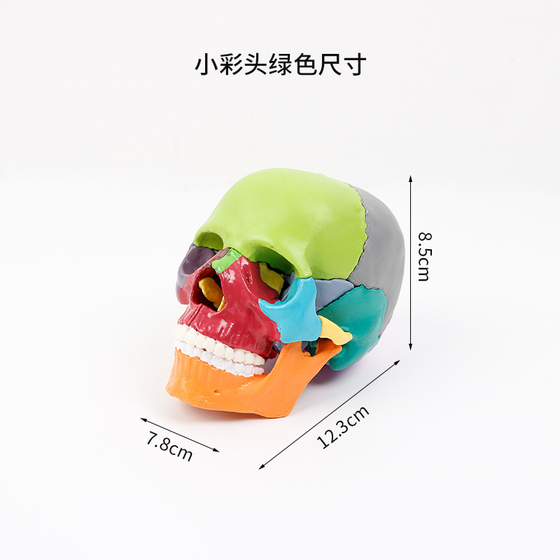 15 small lucky charms in green