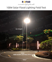 RONSE-Lumière Solaire LED de Qualité Supérieure à Bas Prix, 400W, 50W, 100W, 200W, 300W, 500W, Extérieur, Jardin avec Panneau, Vente en Gros