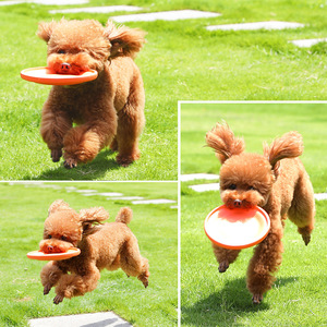 Dog Frisbee <b>Toy</b> <b>For</b> Large Breeds Rubber Outdoor Training Play Equipment Solid Color <b>Interactive</b> <b>Pet</b> <b>Toys</b> - Product Image 2