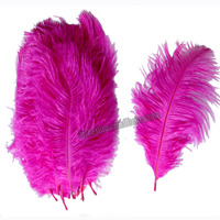 Plumes d'autruche colorées en gros pour la décoration de tables de mariage et de fêtes
