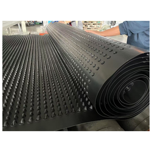 Dimple防水膜ファンデーションTB dimpled壁排水ボード - Product Image 5