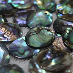 Natural <strong>Abalone</strong> Shell Discs Wholesale - Product Image 2