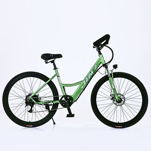 JINT <b>Electric</b> City Bike 26 Inch Rear <b>Hub</b> Motor Lithium Battery Rigid Frame Commuter Bike - Product Image 5