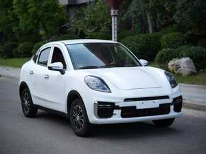 Kısa mesafe seyahat için kentsel Commuting düşük hızlı araba enerji verimli yeni enerji araç - Product Image 2