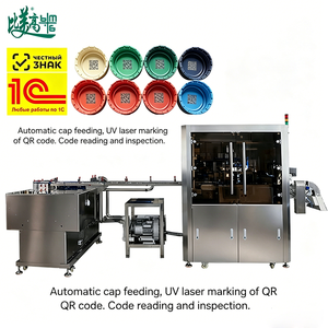 Máquina de Marcado Láser para Tapas + Verificación Visual + Correlación de Datos para Tapas de Leche con Códigos 2D Anti-Falsificación y Cumplen con GS1 - Product Image 4