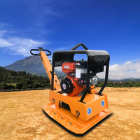 Compacteur à plaque vibrante thermique de haute qualité 80 kg, plaque 42x52 cm, efficacité 4-20 m/min, équipement de pavage pour asphalte et sol
