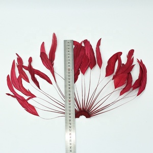 Oferta Económica: Pluma Grande de Gallo <span class=keywords><strong>para</strong></span> Disfraces de Carnaval, Tocados de Showgirl, Sombreros de Sombrerería y Decoración DIY - Product Image 5