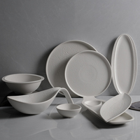 Assiettes en porcelaine de qualité AB écologiques pour restaurant, hôtel, usage domestique - Durables, colorées, style contemporain, technique givrée