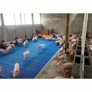 Caja para cerdos de engorde, equipo agrícola duradero, nuevo e higiénico, limpio y personalizado al por mayor - Product Image 2