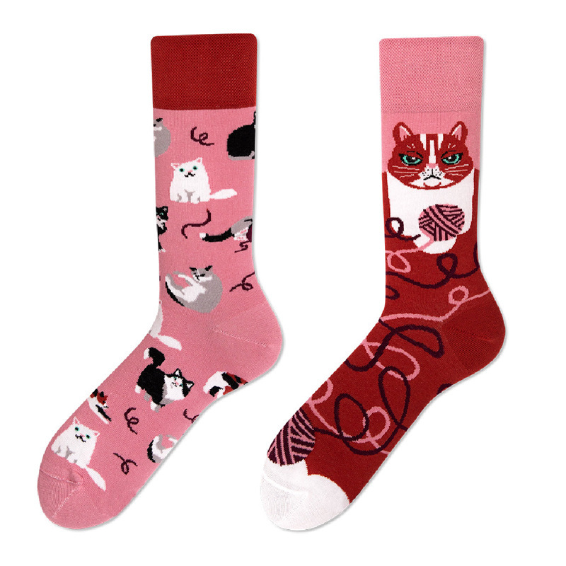 Chat en poudre Ab19c