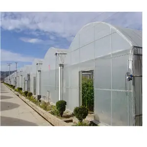 Economical Agricultural Mushroom Used Film Greenhouse