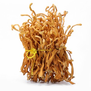 Venta al por mayor Spore Head Cordyceps Fungus Mejor precio Cordyceps Militaris Cordycepin orgánico seco - Product Image 2