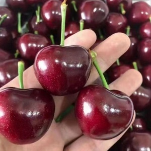 Đại liên meizao 1.00kg Gói Anh đào tươi 3j4j với hộp quà tặng chất lượng sản phẩm chăm sóc tóc Bắc Kinh - Product Image 1