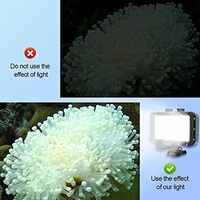50M /164FT LED caméra sous-marine lumière de plongée 5000LUX lumière Flash vidéo avec 84 LED