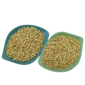 wholesale buckwheat Sweet Roasted Buckwheat Rice Grains Kernels Price Per Ton Bulk Buckwheat