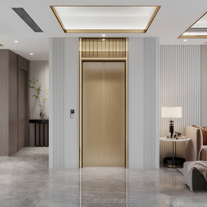 Ascensores <span class=keywords><strong>Interiores</strong></span> de Lujo de 3 Pisos y 400 kg de Capacidad, Diseño Personalizado, Marca China Más Vendida, <span class=keywords><strong>para</strong></span> una Casa Privada - Product Image 6