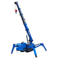 Mini-grue araignée personnalisable à moteur diesel, moteur Weichai, garantie 3 ans, grue hydraulique portable à commande à distance