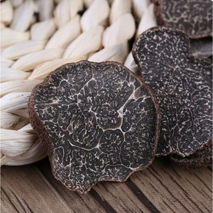 Tartufi Secchi Biologici Cinesi Neri all'Ingrosso - Product Image 6