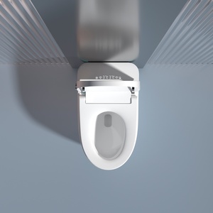 بيع ذكي رخيص أدوات صحية ذكية مثبتة على الأرض خزانة مياه للحمام قطعة واحدة مرحاض ذكي سيراميك بيديت - Product Image 3