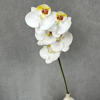 5 têtes d'orchidées artificielles en EVA pour la décoration de mariage et de la maison, accessoires écologiques pour la photographie de mariage